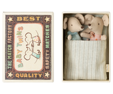 Baby Twin Mice in Matchbox