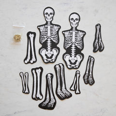 Articulated Skeleton Decorative Accent