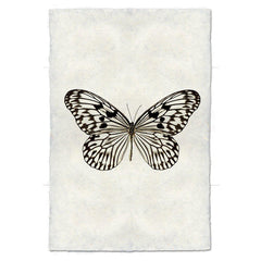 Butterfly #14 Art Print