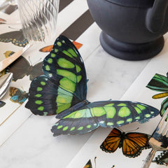 Butterflies Table Accent