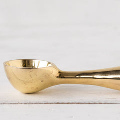 Brass Dessert Scoop