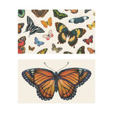 Butterfly Tiny Notes