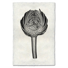 Artichoke Art Print