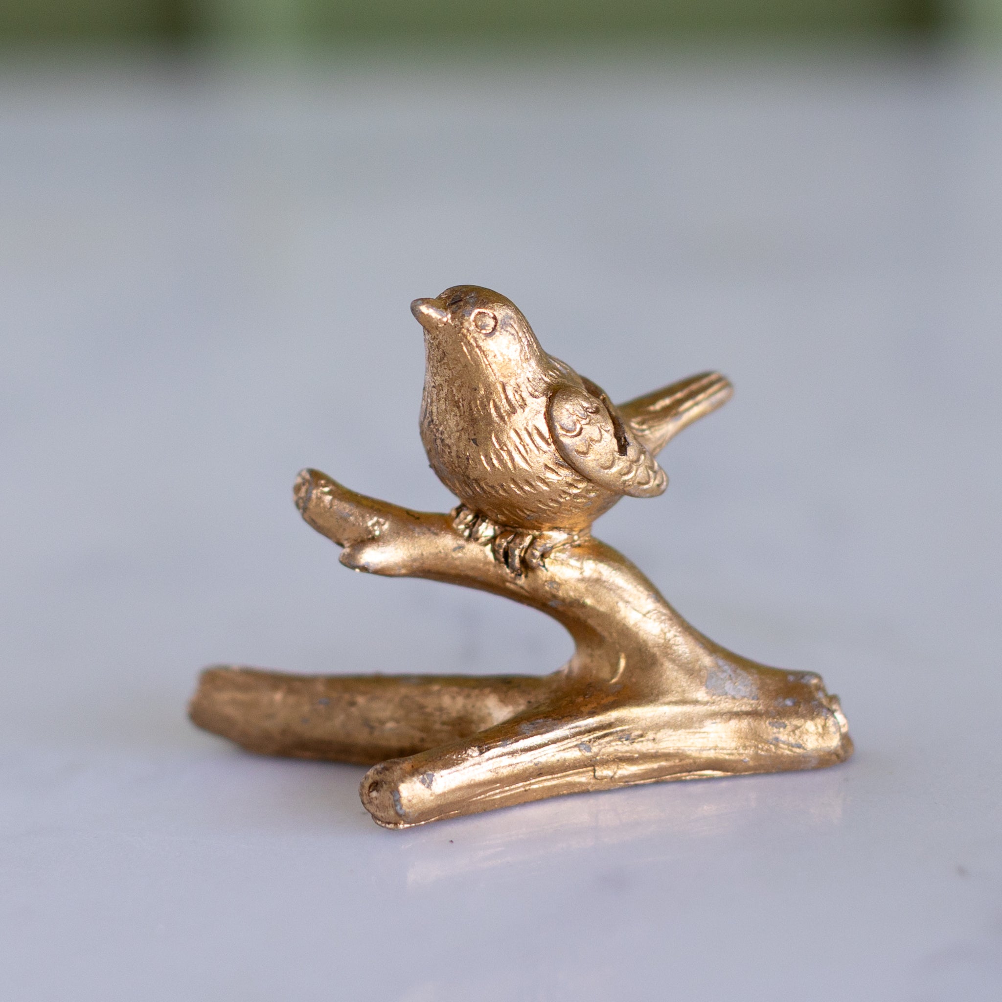 Bird Name Card Holder
