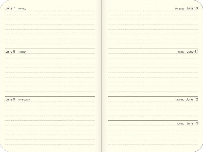 2027 Cats Weekly Planner