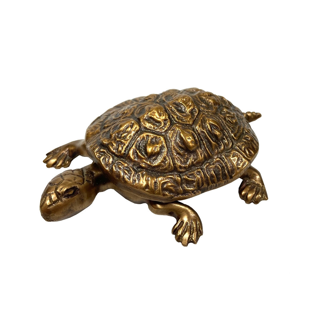 Antiqued Brass Turtle Box