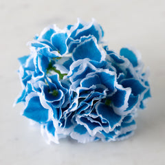 Border Hydrangea Napkin Ring