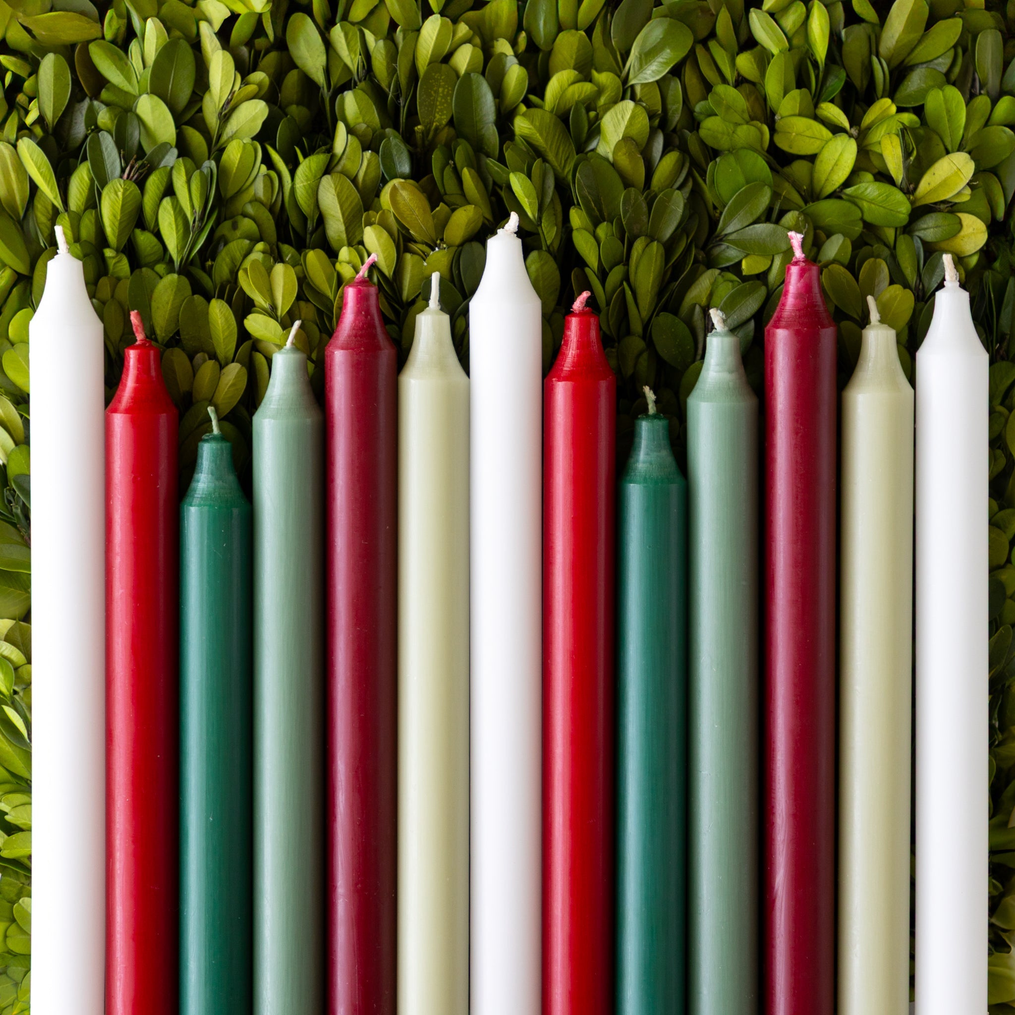 Bordeaux 12" Taper Candle