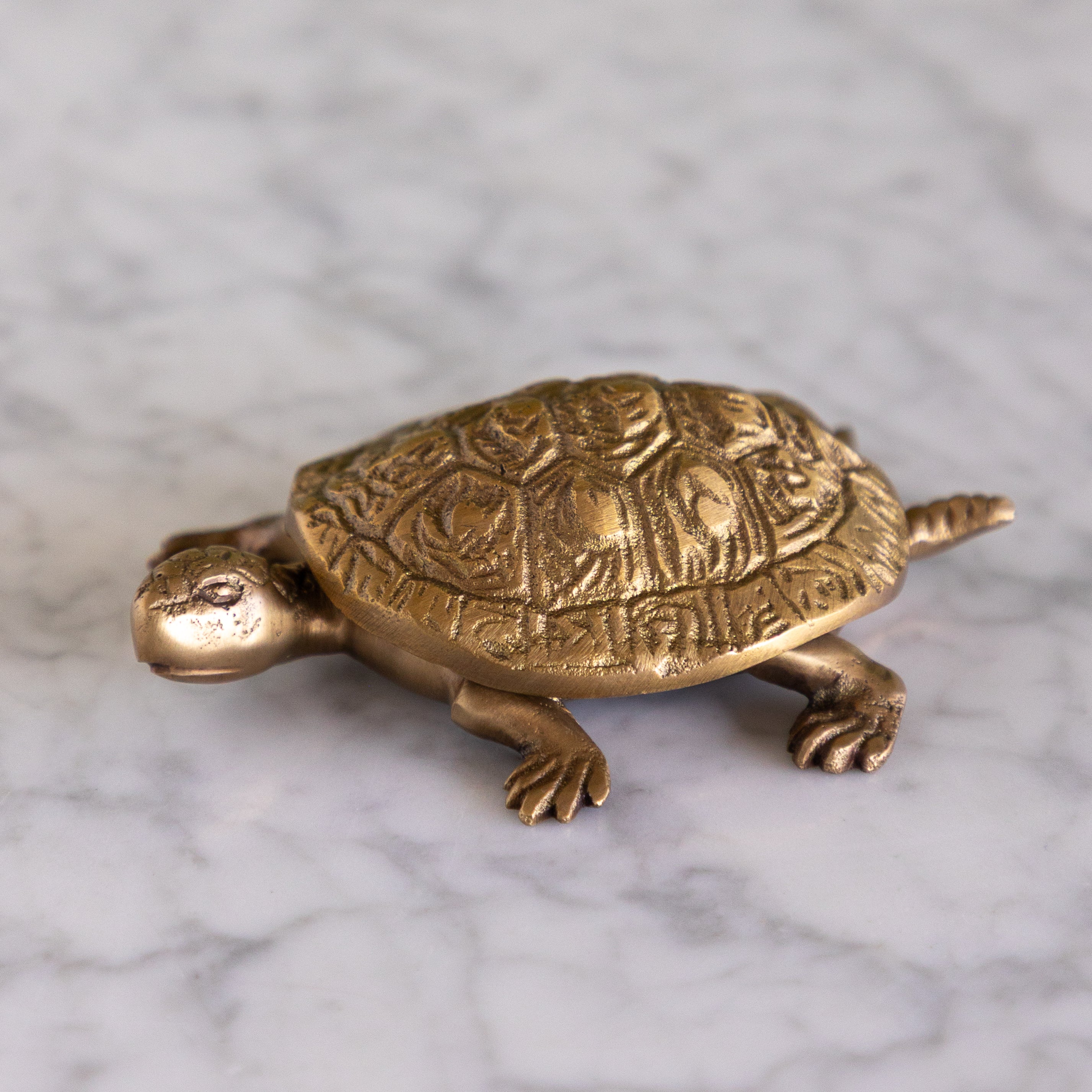 Antiqued Brass Turtle Box
