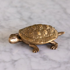 Antiqued Brass Turtle Box