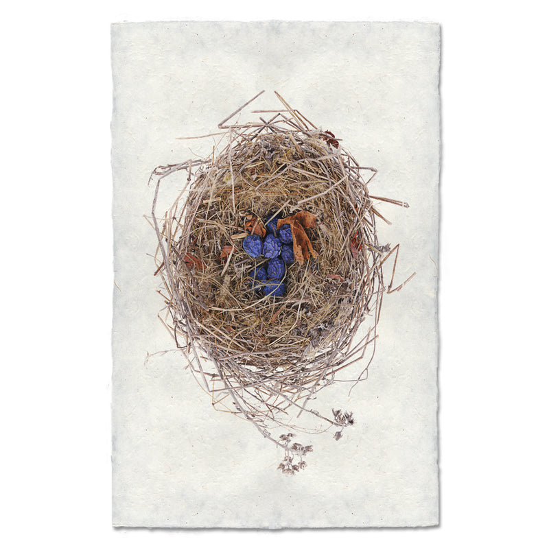 Blue Berry Bird Nest Art Print