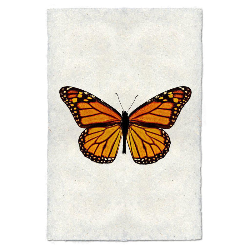 Butterfly #13 Art Print