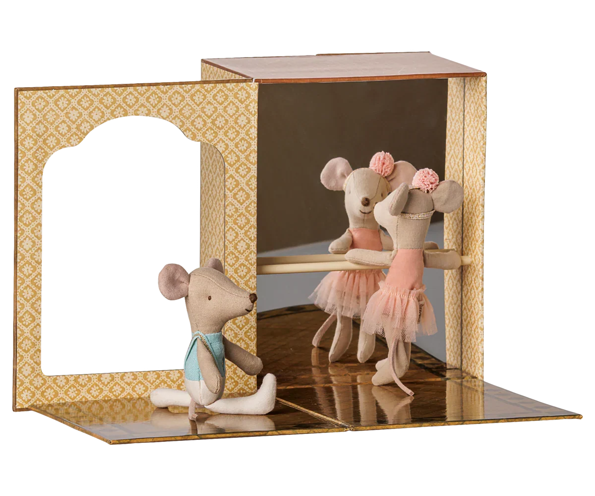 Ballet Mice in Dance Studio, Little Sister & Brother