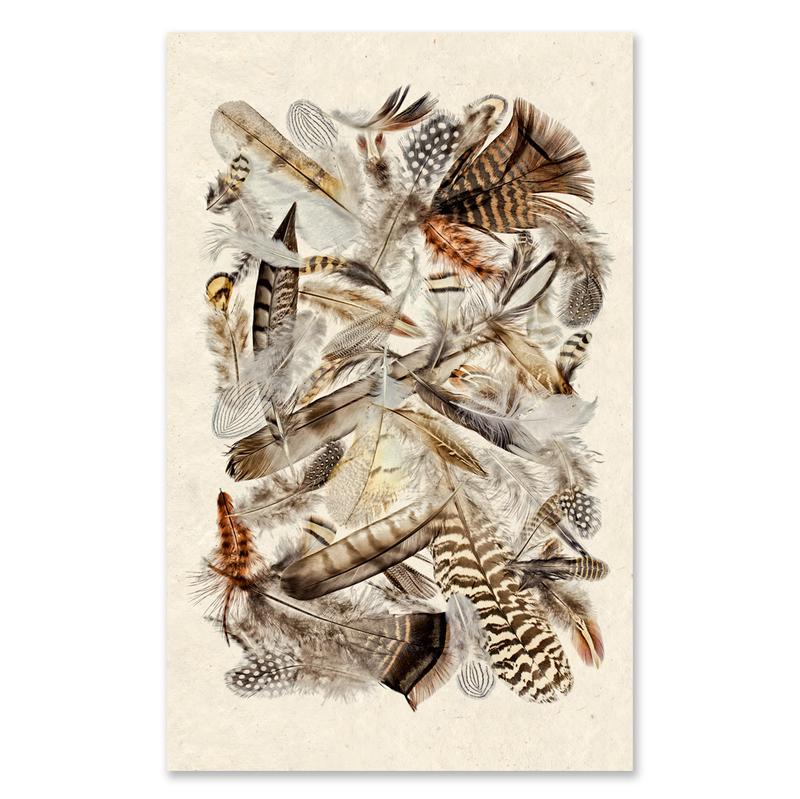 Collective Feathers Grand Format