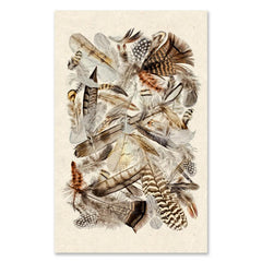 Collective Feathers Grand Format