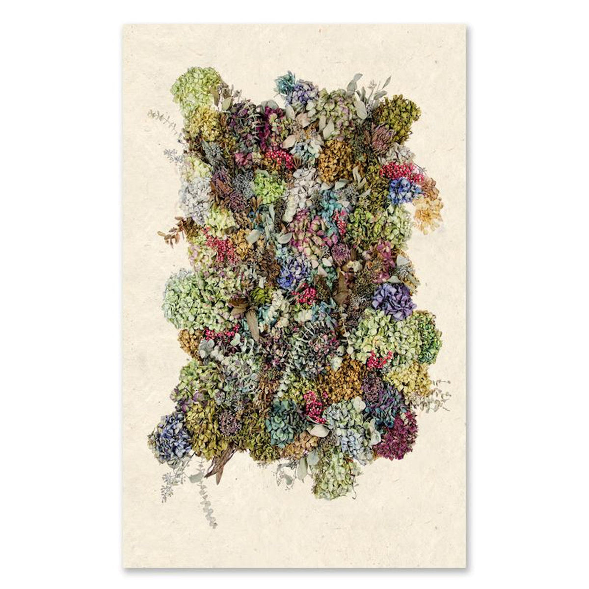Collective Hydrangea Grand Format
