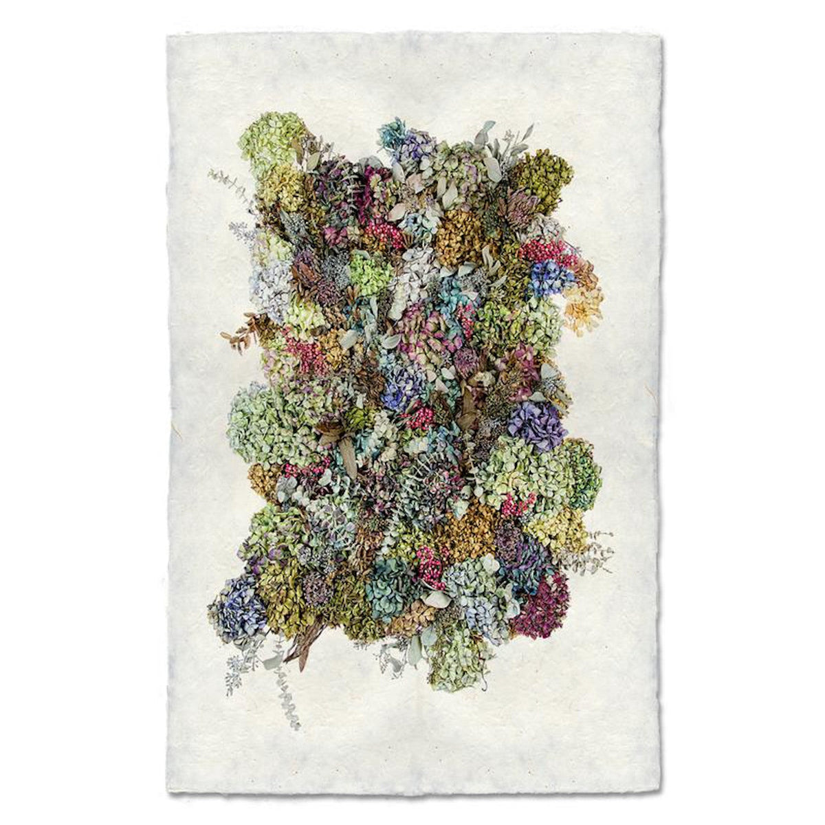 Collective Hydrangea Art Print