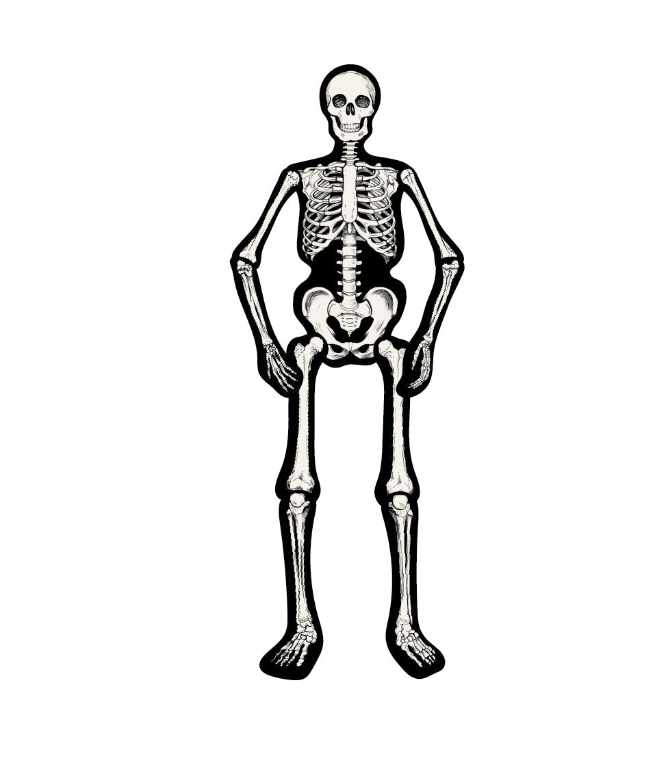 Articulated Skeleton Decorative Accent