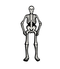 Articulated Skeleton Decorative Accent