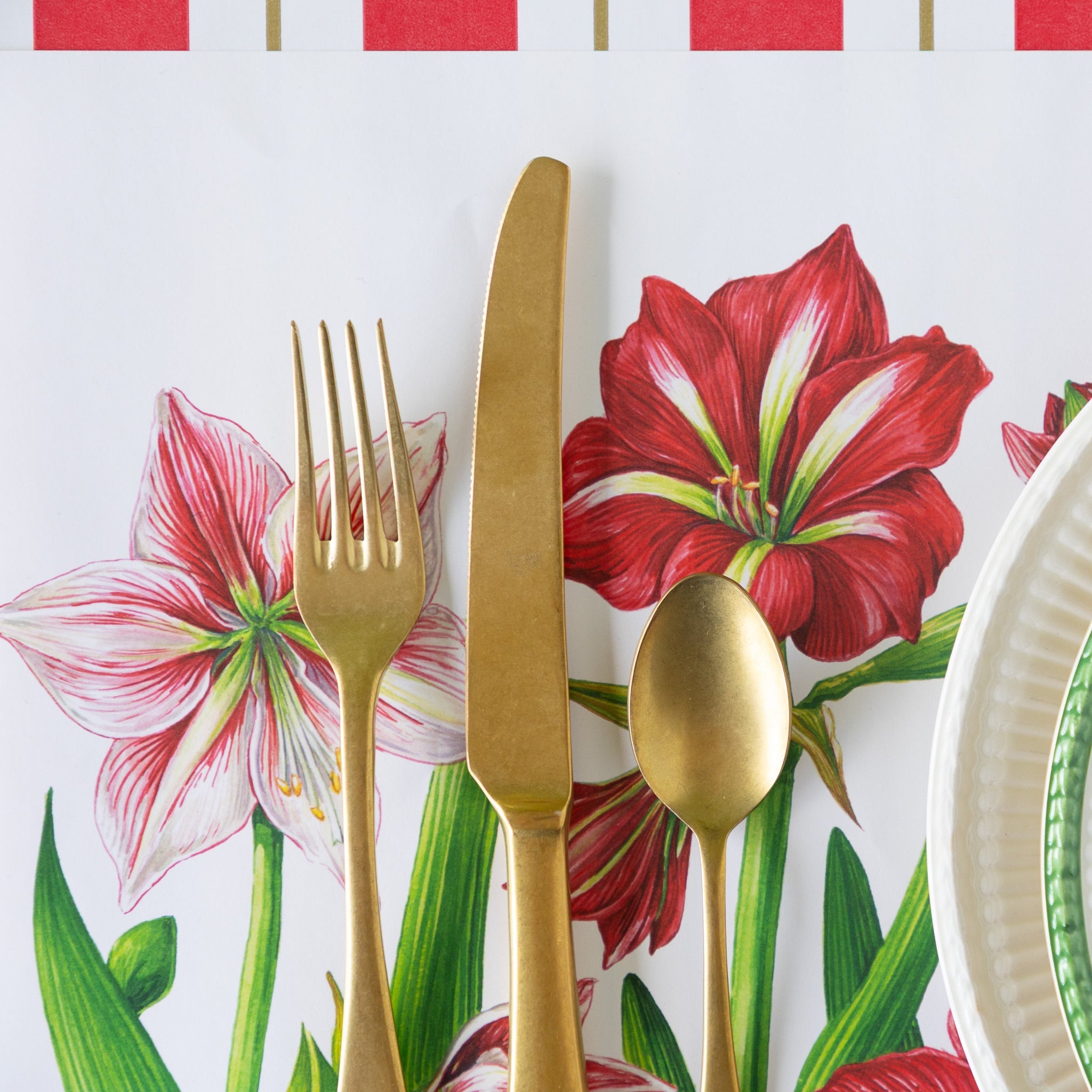 Amaryllis Blooms Placemat