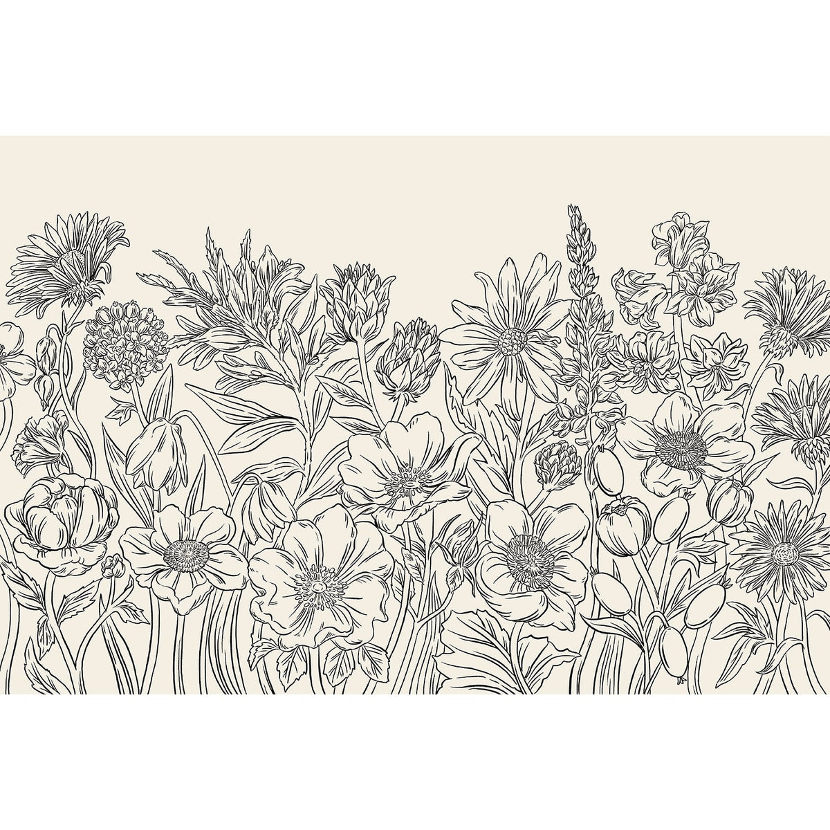 Coloring Wildflower Meadow Placemat