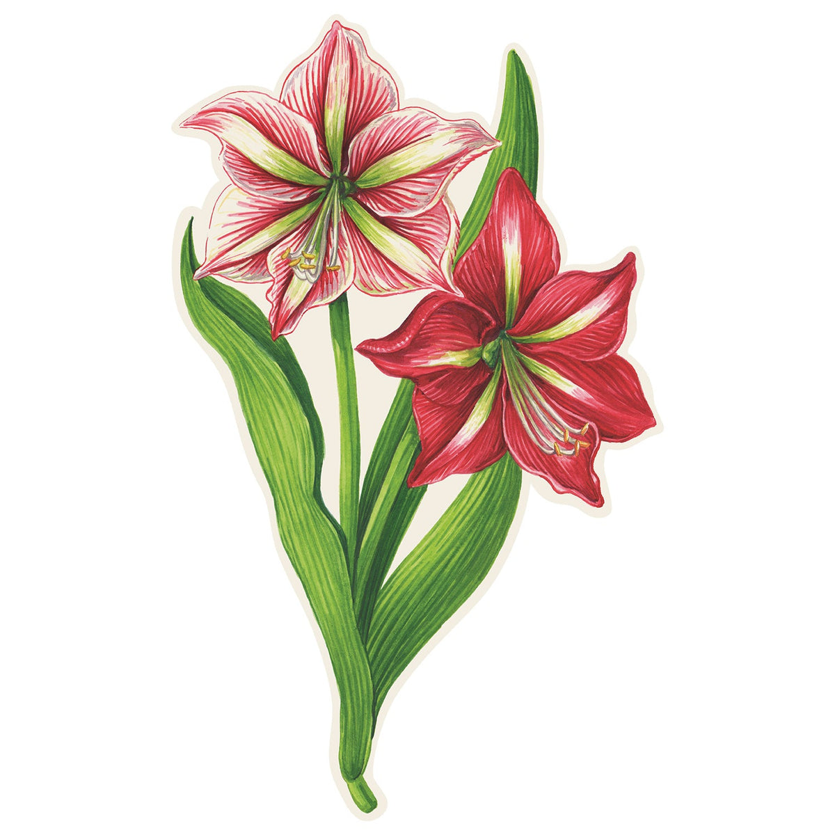 Amaryllis Table Accent