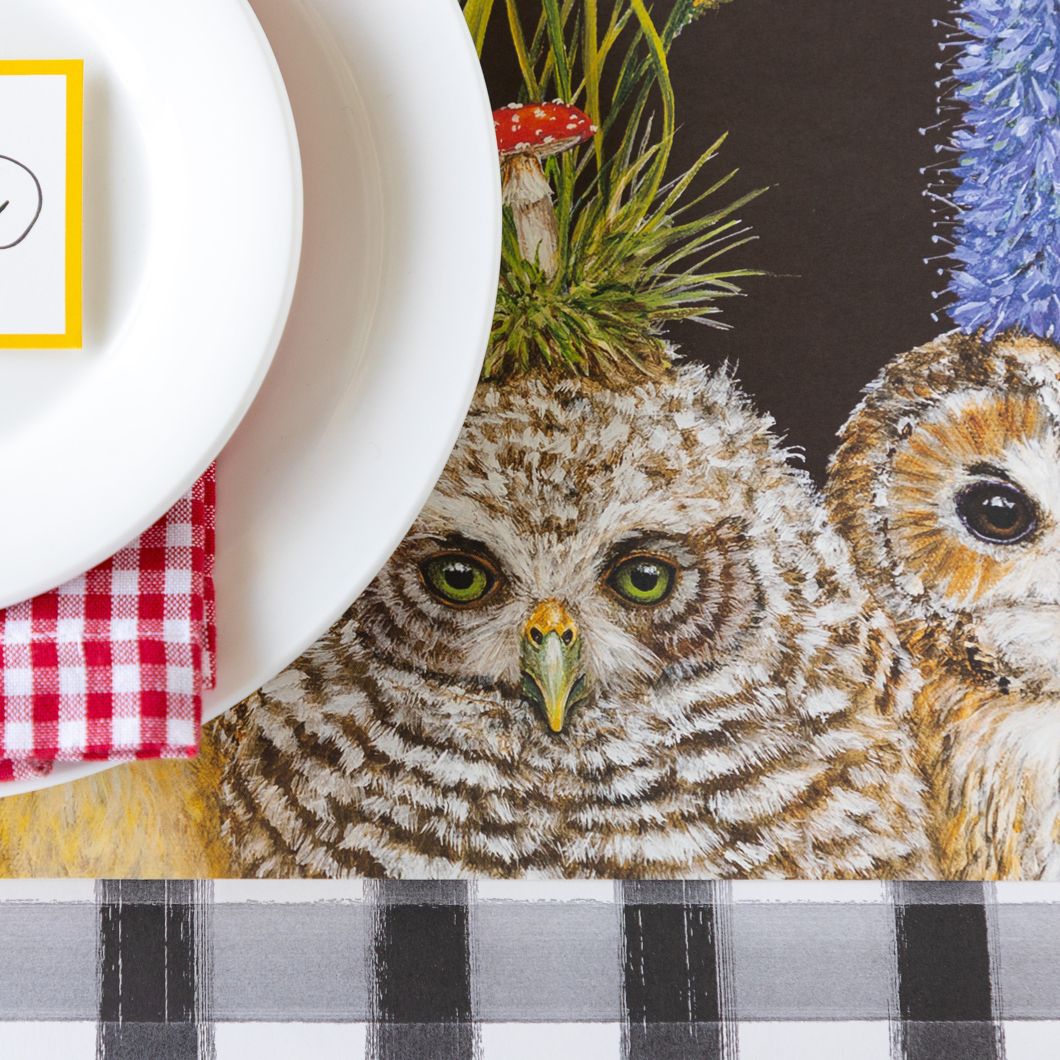 Baby Owls Placemat
