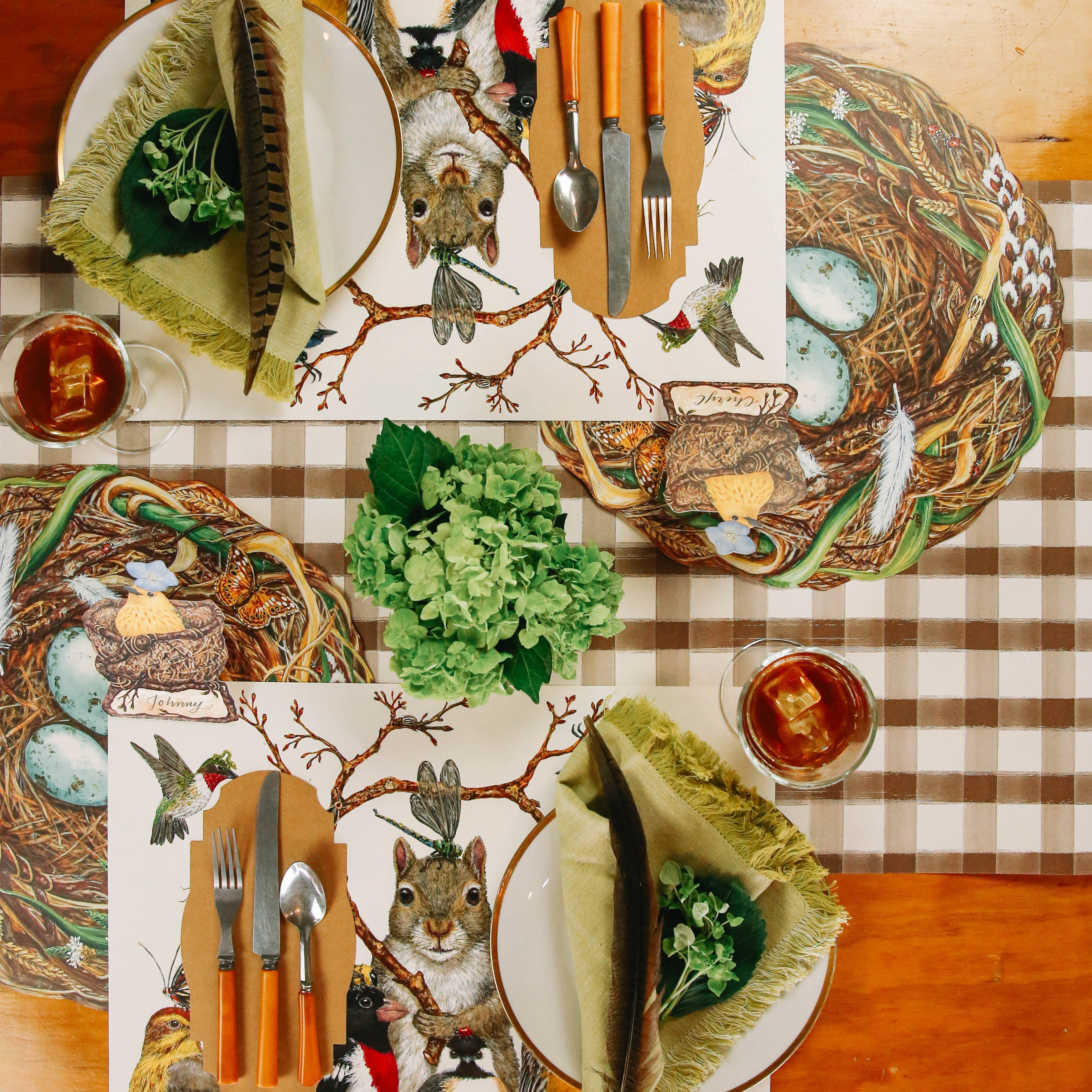 Bug Day Afternoon Placemat