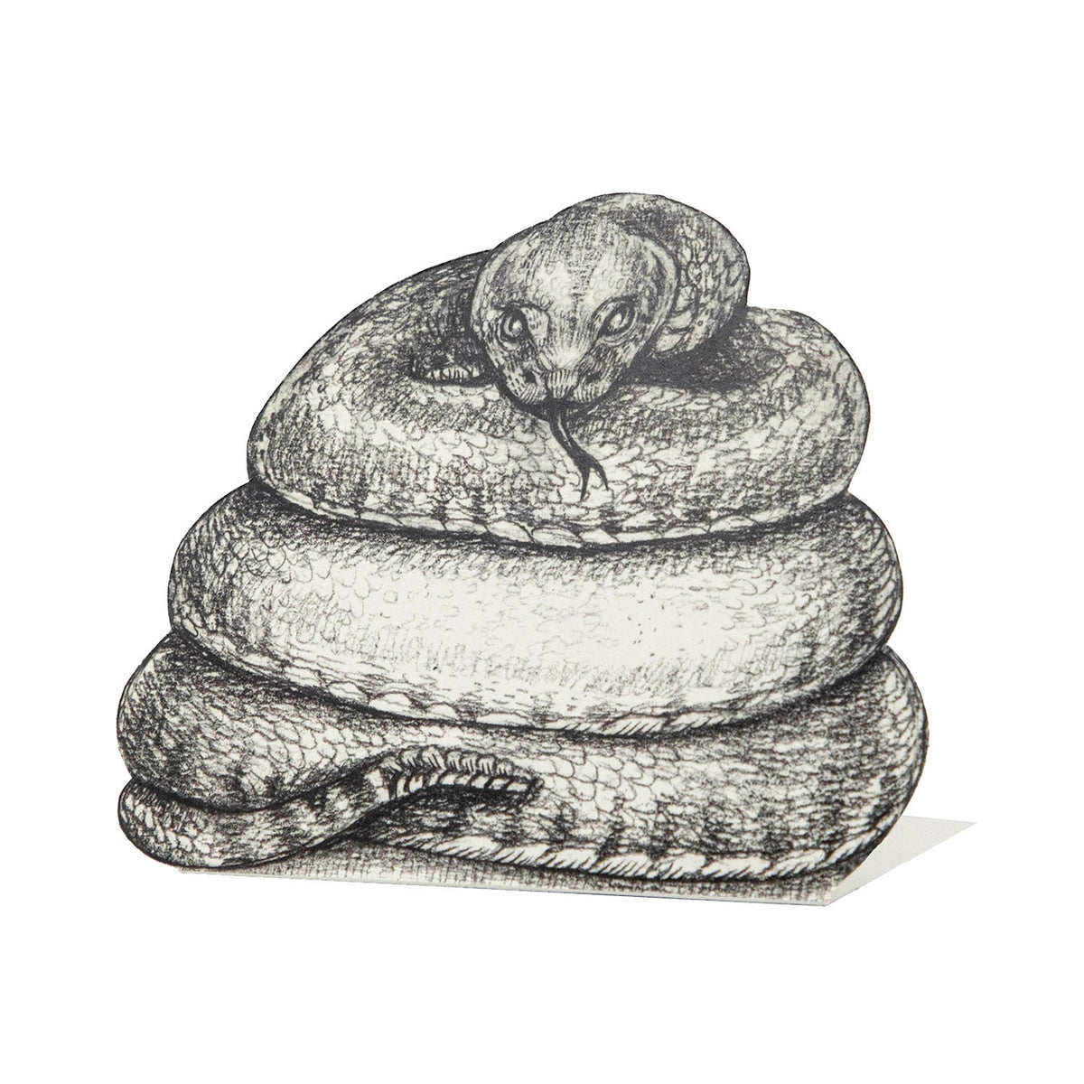 Coiled Snake Place Card