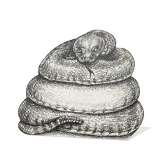Coiled Snake Place Card