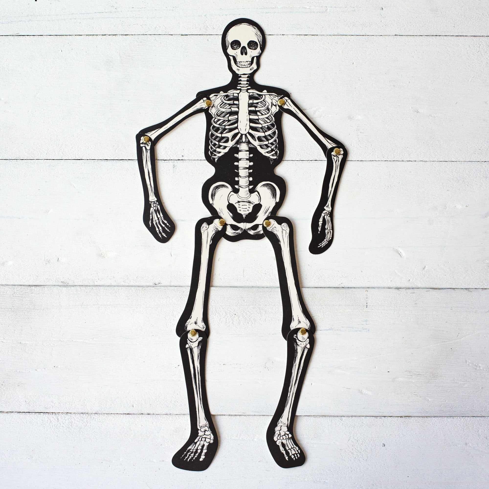 Articulated Skeleton Decorative Accent
