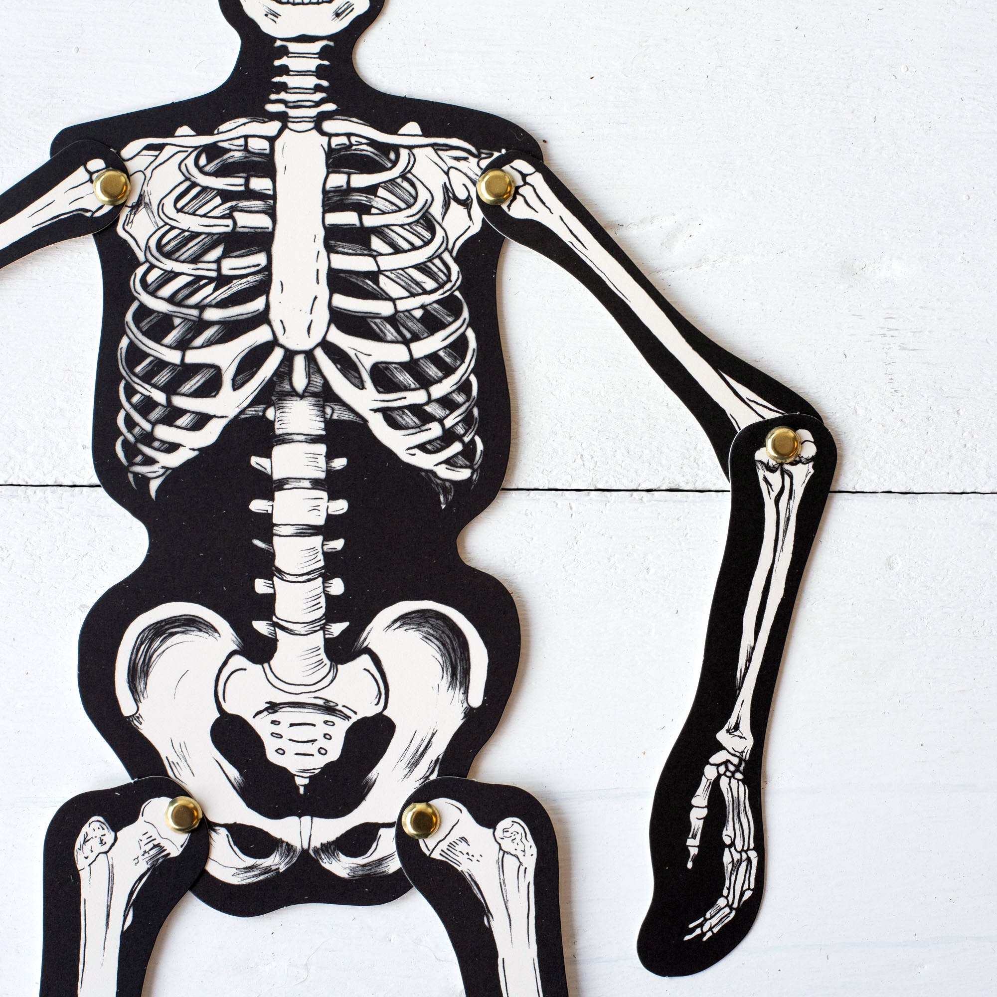 Articulated Skeleton Decorative Accent