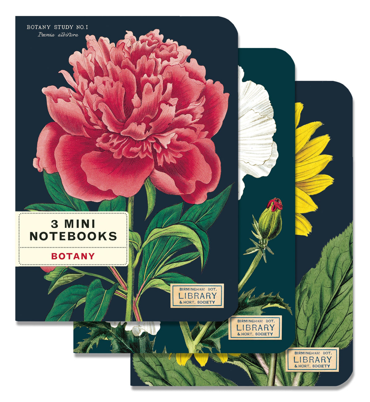 Botany 3 Mini Notebooks