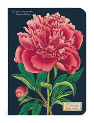 Botany 3 Mini Notebooks