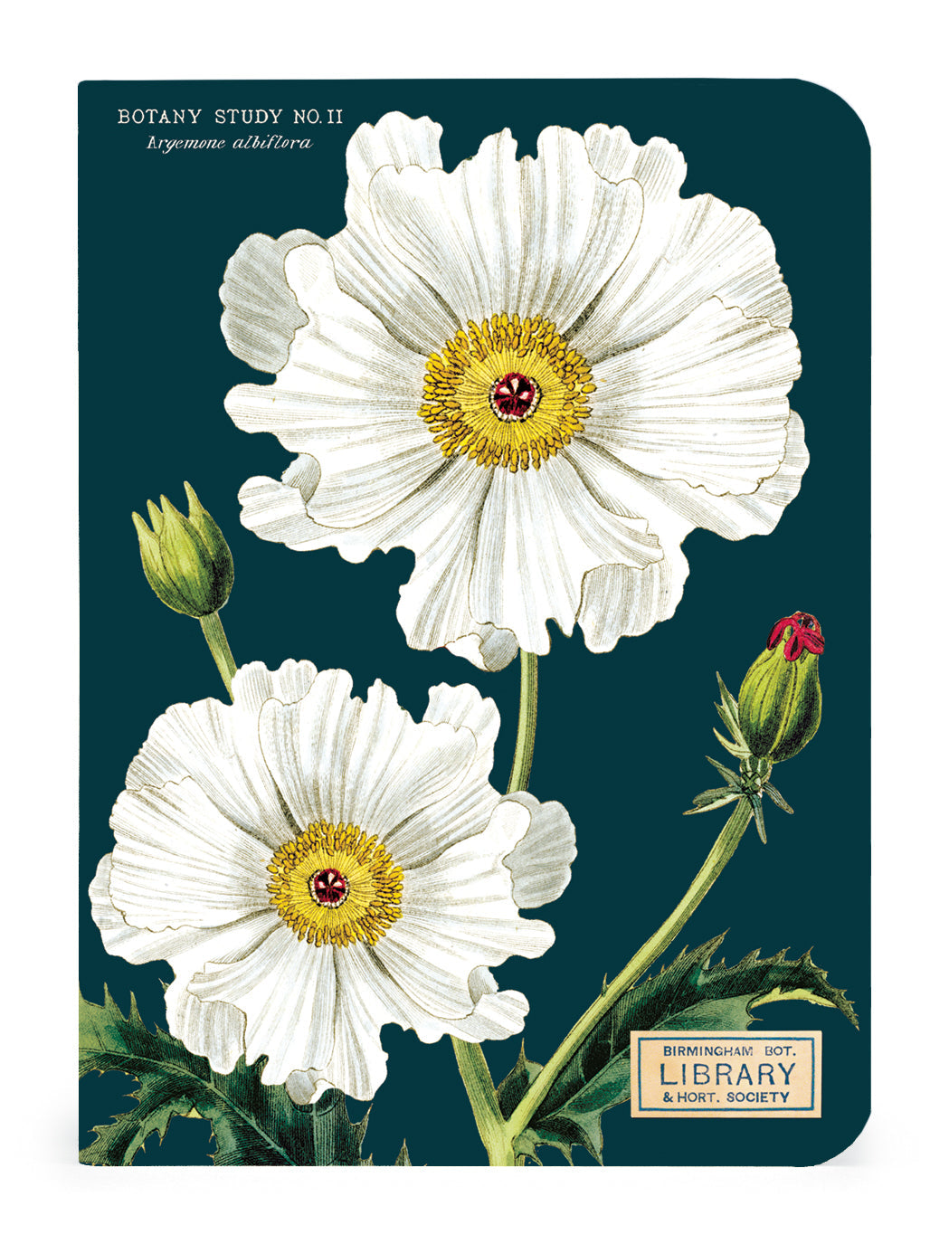 Botany 3 Mini Notebooks