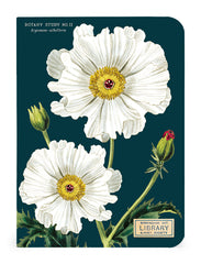 Botany 3 Mini Notebooks