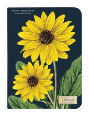 Botany 3 Mini Notebooks