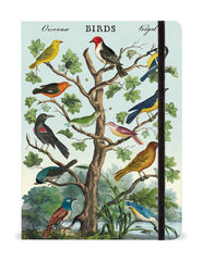 Birds Notebook