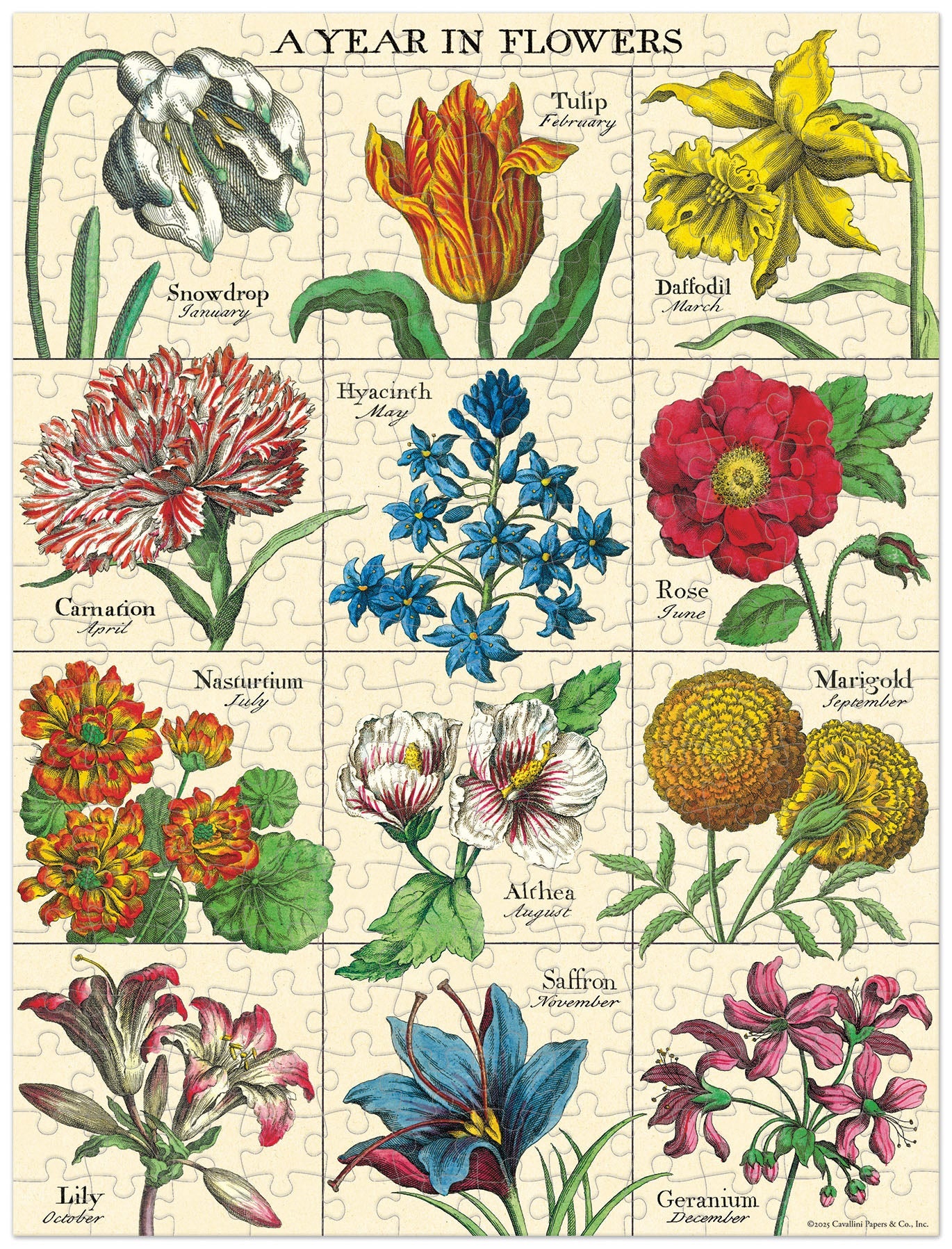 A Year of Flowers 240 Piece Puzzle