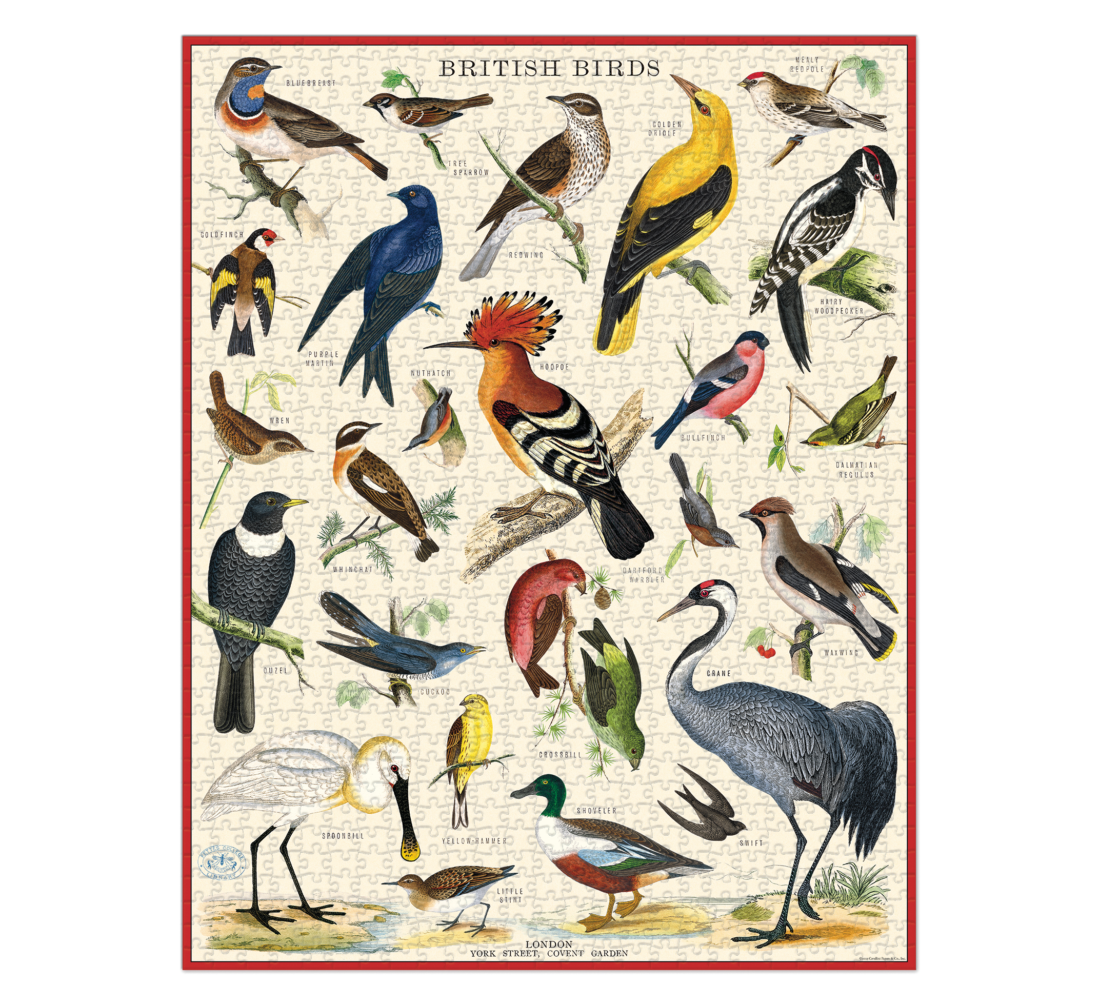British Birds 1,000 Piece Puzzle