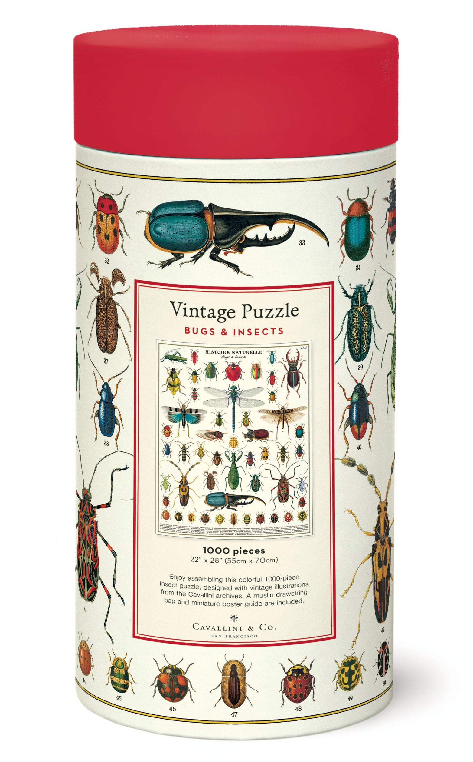 Bugs & Insects 1,000 Piece Puzzle