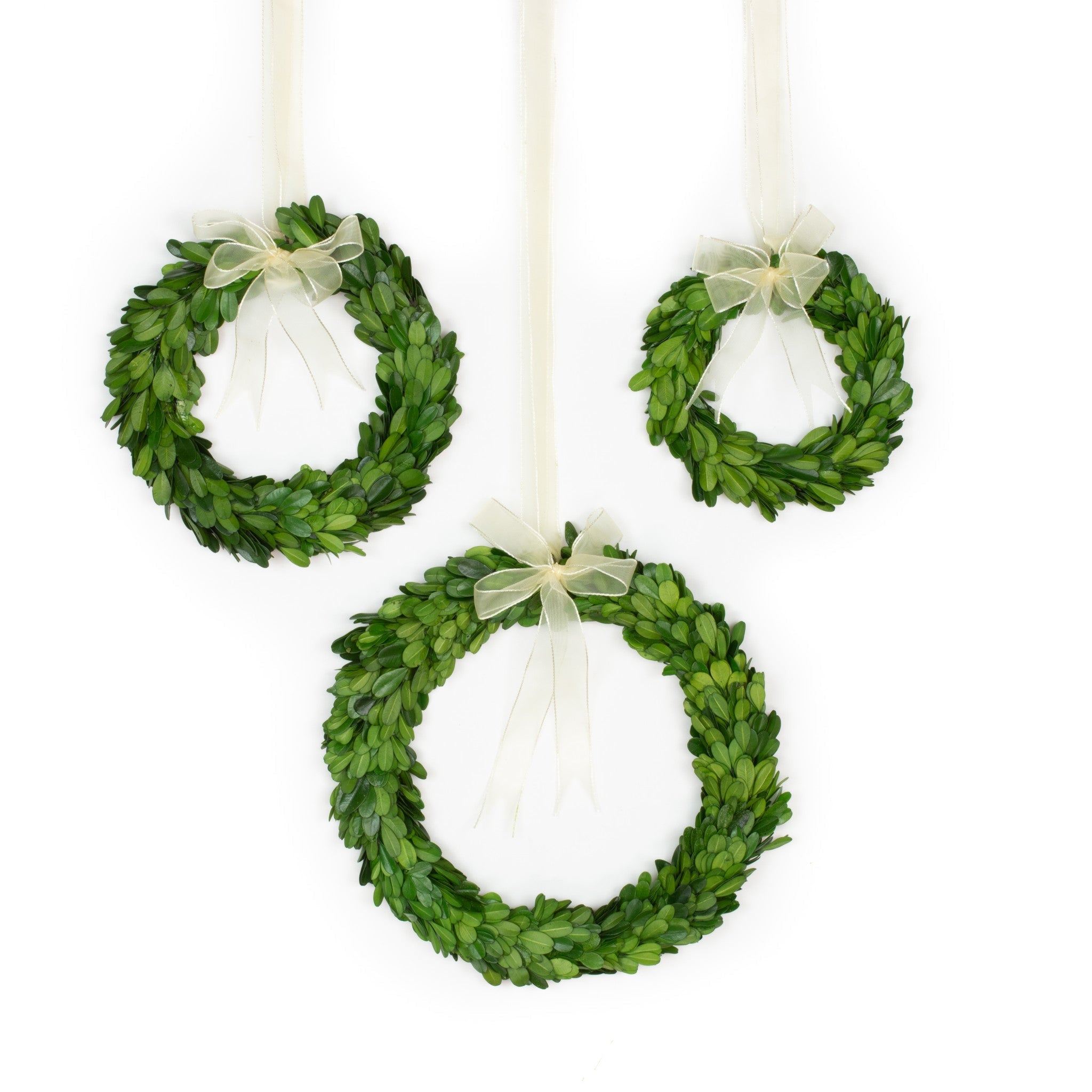 3-Piece Round Boxwood Wreath with Ribbon