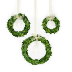 3-Piece Round Boxwood Wreath with Ribbon
