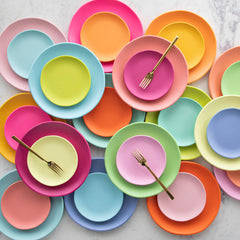 9" Rainbow Melamine Plate
