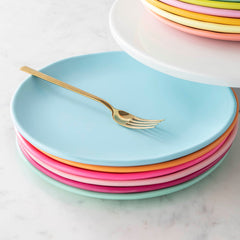 9" Rainbow Melamine Plate