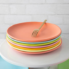 9" Rainbow Melamine Plate