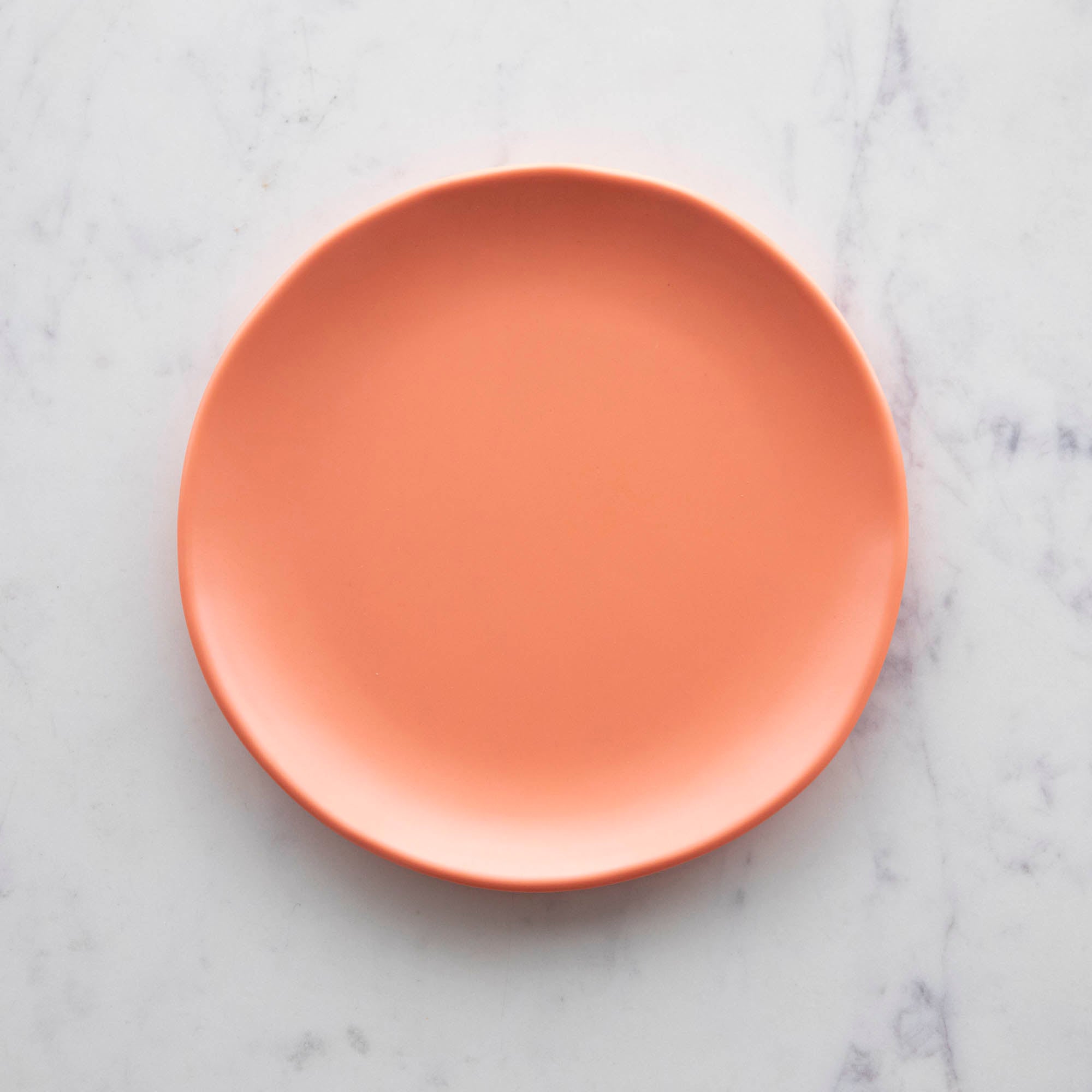 9" Rainbow Melamine Plate