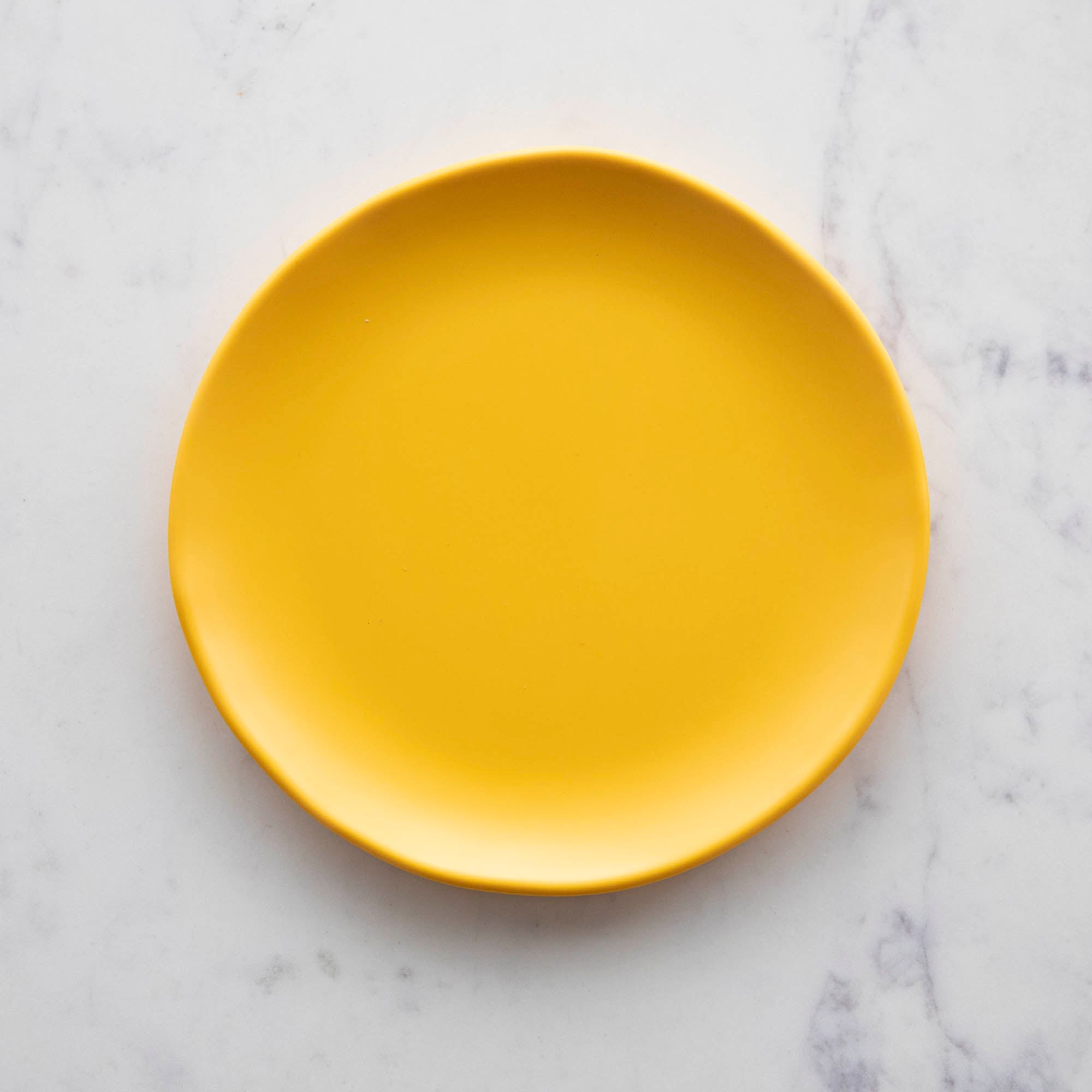 9" Rainbow Melamine Plate