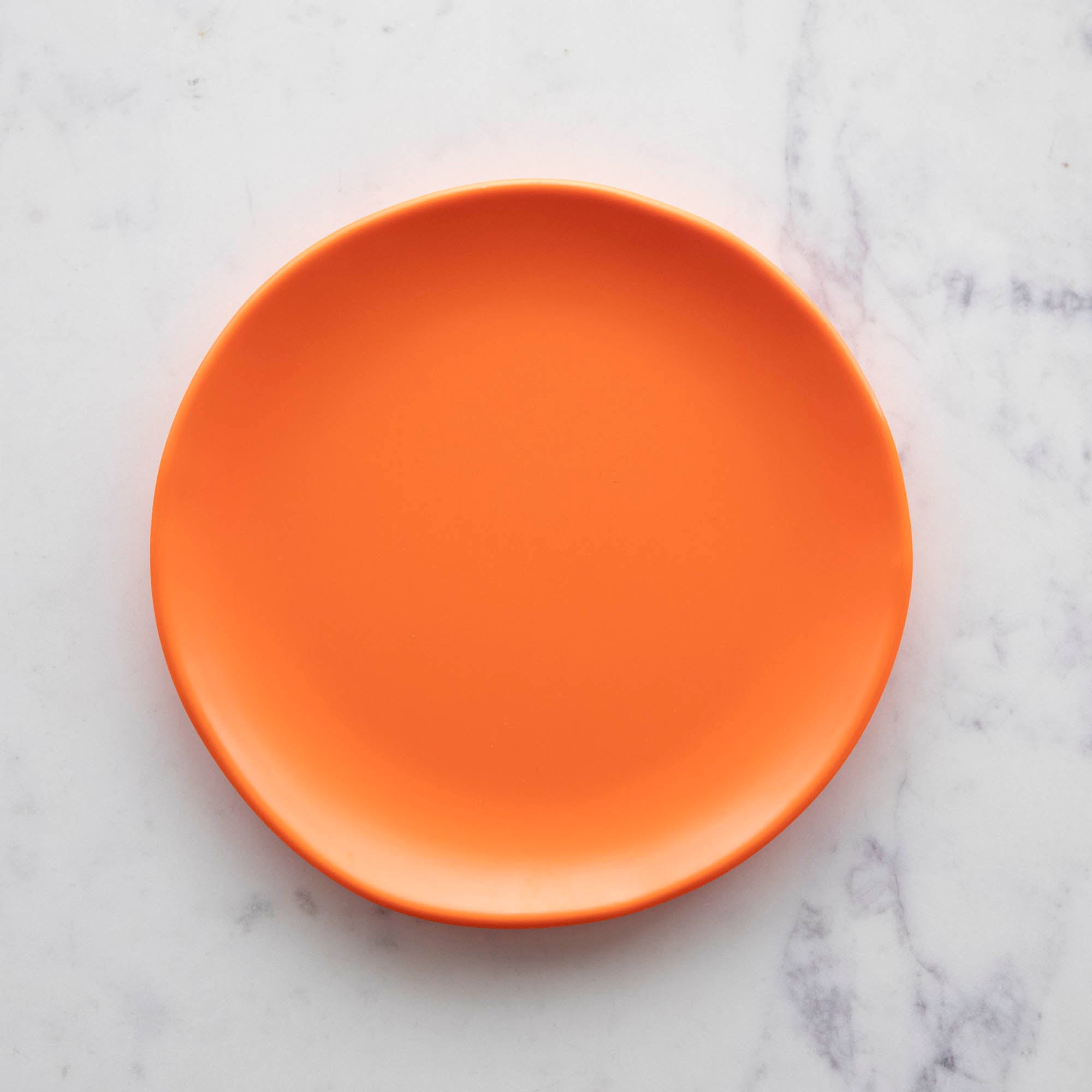 9" Rainbow Melamine Plate