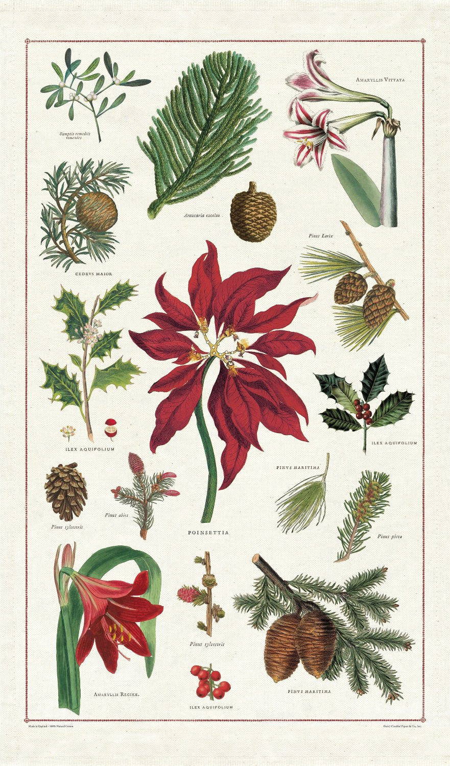 Botanical Christmas Tea Towel